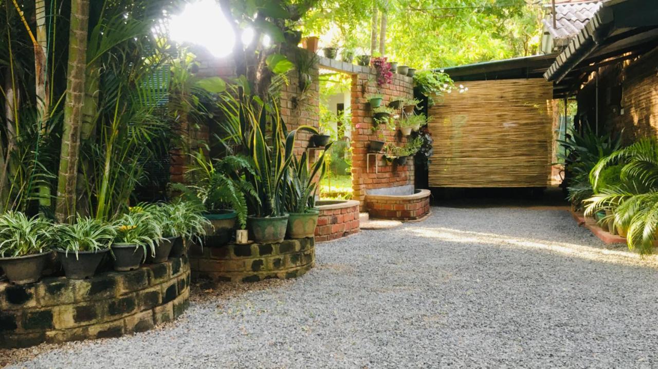 Mowgli Cottage 锡吉里亚 外观 照片