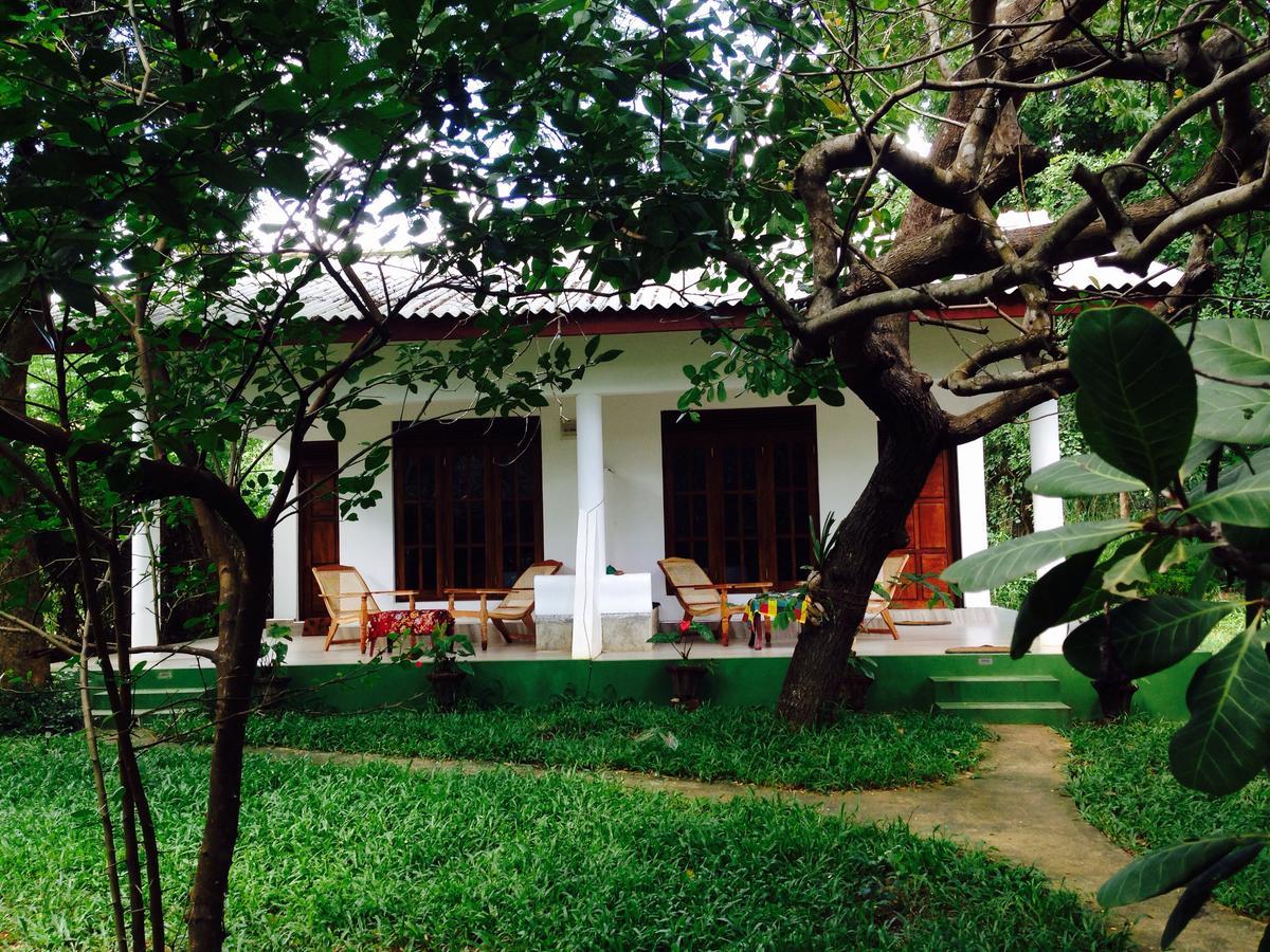 Mowgli Cottage 锡吉里亚 外观 照片
