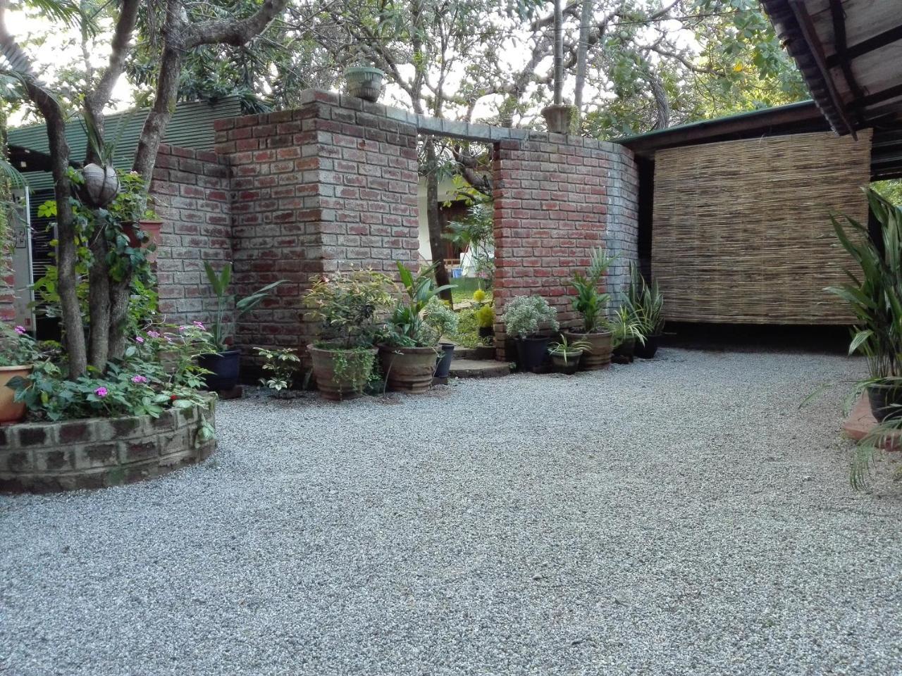 Mowgli Cottage 锡吉里亚 外观 照片